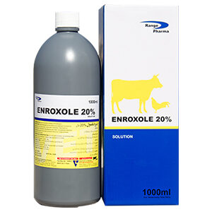 Enroxole Web
